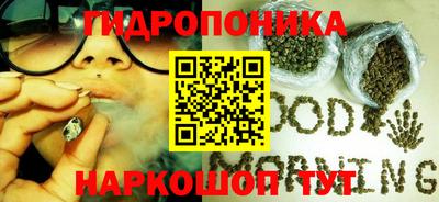 прущий лед Новозыбков