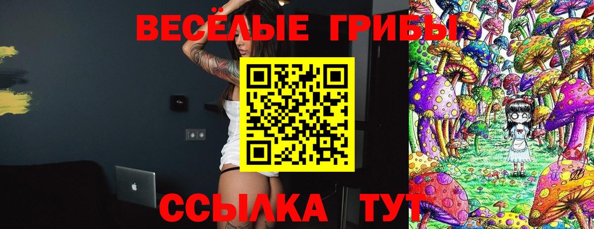Псилоцибиновые грибы MAGIC MUSHROOMS  Вход с VPN  Советская Гавань 