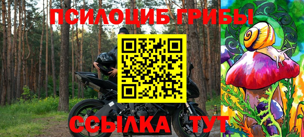 Псилоцибиновые грибы Psilocybine cubensis Советская Гавань